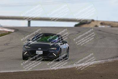 media/Mar-02-2025-Speed Ventures (Sun) [[ad7ca67825]]/Purple Group/Session 2/